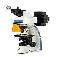 Kính hiển vi một mắt BioBlue Euromex OX.3237/560 (HWF 10x/22 mm, 4/10/S40/S100x)